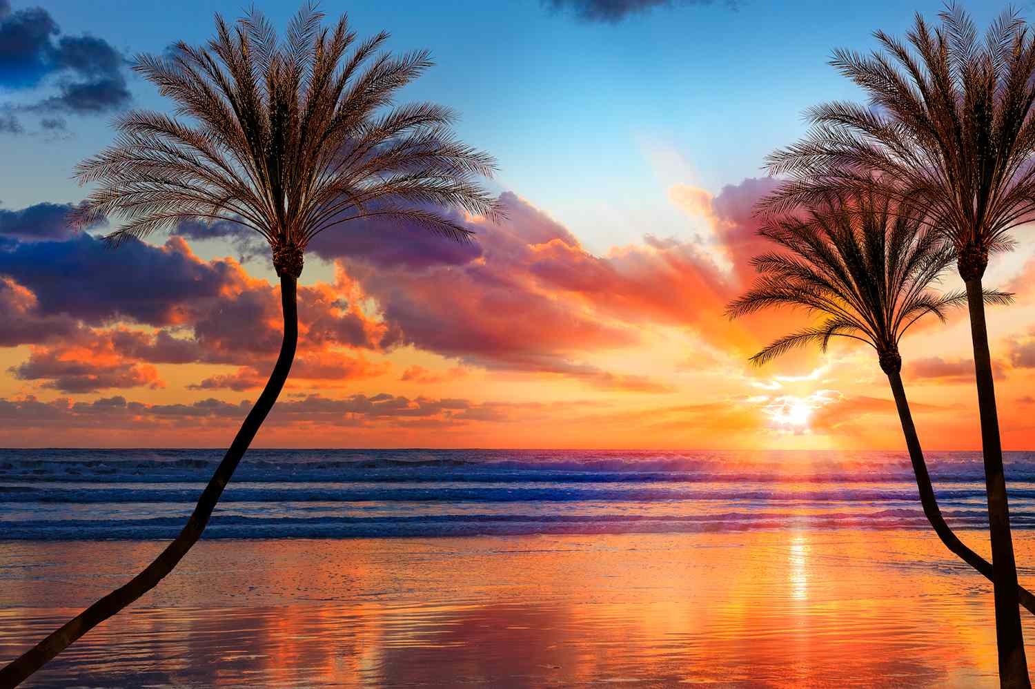Sunset Winner